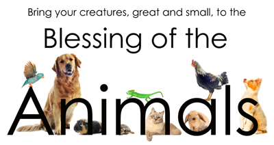 bendicion-de-los-animales-2019WEB